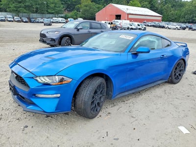 2019 Ford Mustang