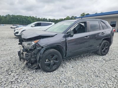 2019 Toyota RAV4 Hybrid