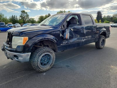 2011 Ford F-150