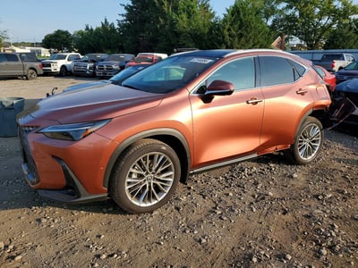 2026 Lexus NX