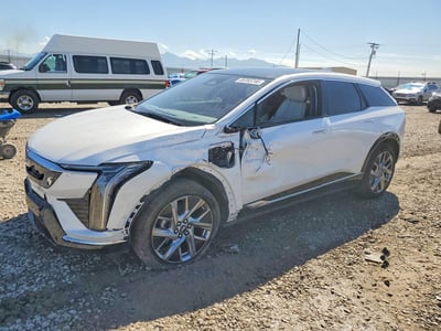2025 Cadillac Optiq