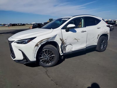 2026 Lexus NX