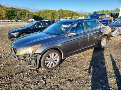 2011 Honda Accord