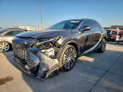 2025 Lexus RX