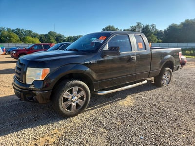 2010 Ford F-150