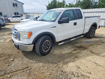 2010 Ford F-150
