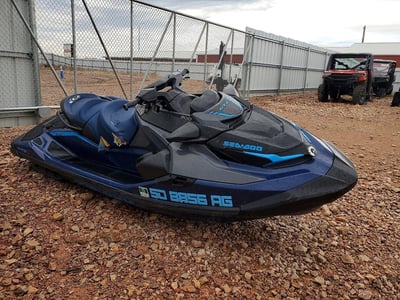 2025 Sea-Doo Jet Ski