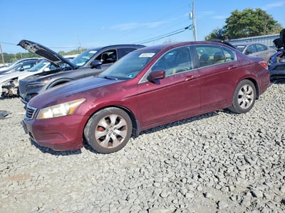 2010 Honda Accord