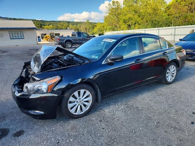 2010 Honda Accord