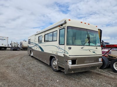 1999 Country Coach Allure