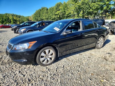 2010 Honda Accord