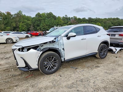 2024 Lexus NX 350h