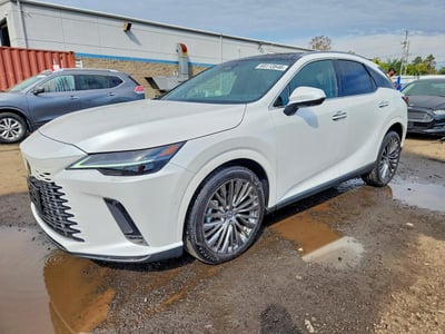 2024 Lexus RX