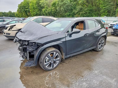 2025 Lexus UX 300h