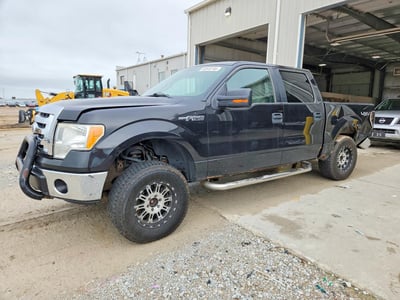 2010 Ford F-150
