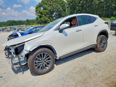 2025 Lexus NX