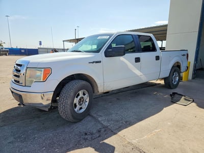 2009 Ford F-150