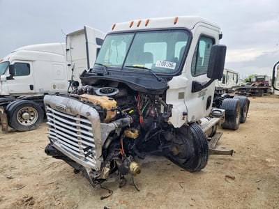 2019 Freightliner Cascadia 113