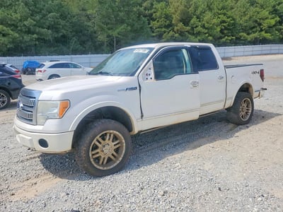 2010 Ford F-150