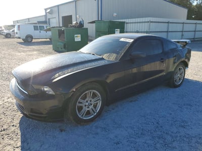 2013 Ford Mustang