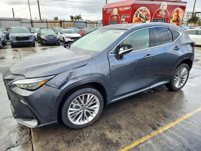 2025 Lexus NX 350h