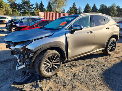 2024 Lexus NX 350