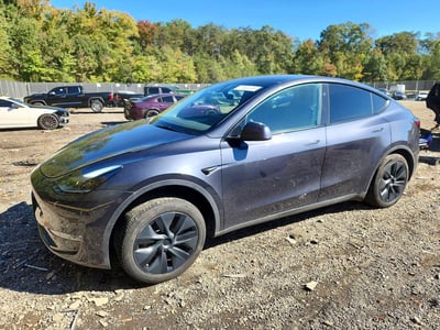 2025 Tesla Model Y