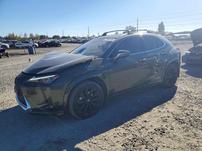 2020 Lexus UX Hybrid
