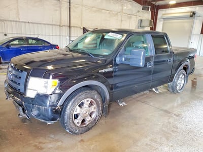 2009 Ford F-150