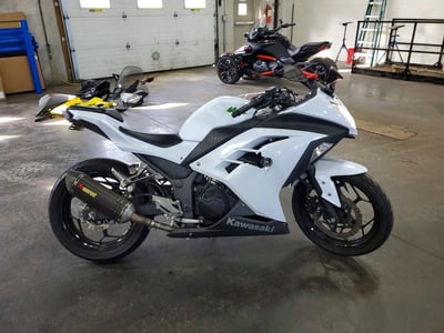 2015 Kawasaki Ninja 300