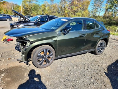 2025 Lexus UX 300h
