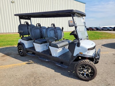 2025 Denago EV Rover Xxl