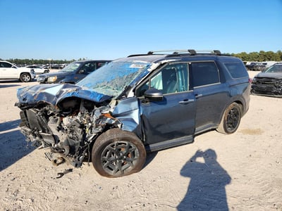 2025 Kia Carnival Hybrid