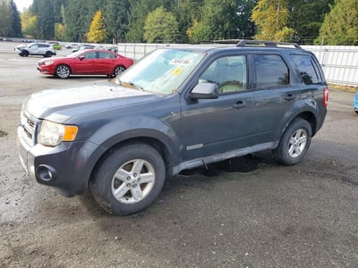 2008 Ford Escape Hybrid