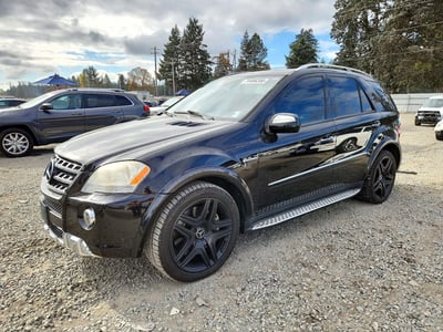 2009 Mercedes-Benz M-Class