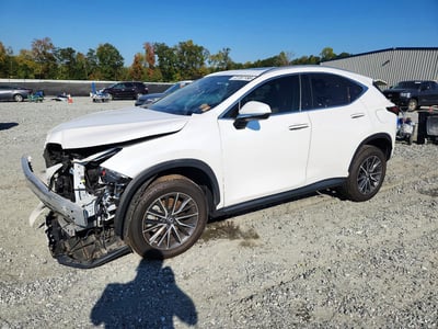 2023 Lexus NX 350