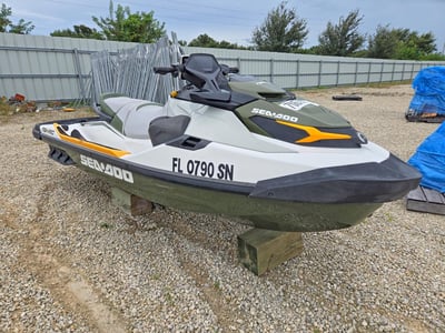 2020 Sea-Doo Fish Pro