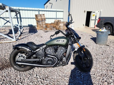 2023 Indian Scout