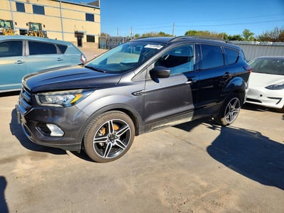 2019 Ford Escape