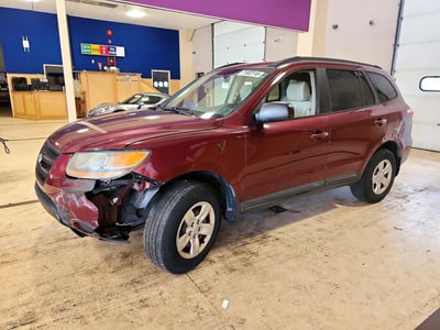 2009 Hyundai Santa Fe