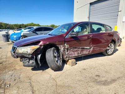 2010 Honda Accord