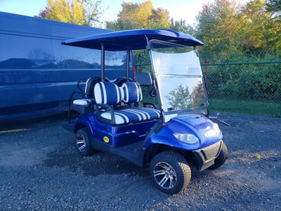 2019 ICON Electric Vehicles Unknown
