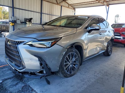 2024 Lexus NX