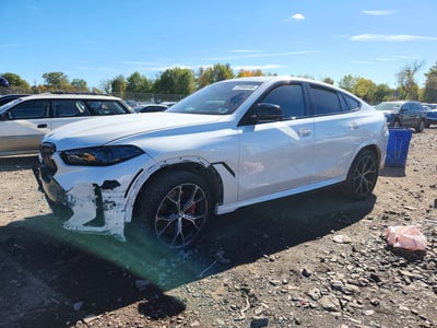 2024 BMW X6