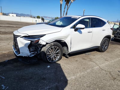 2024 Lexus NX