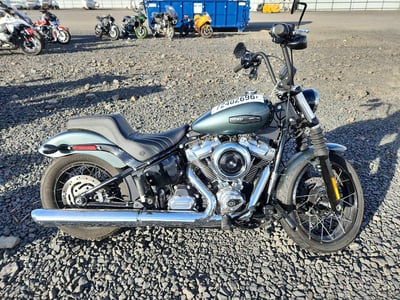 2025 Harley-Davidson Street Bob