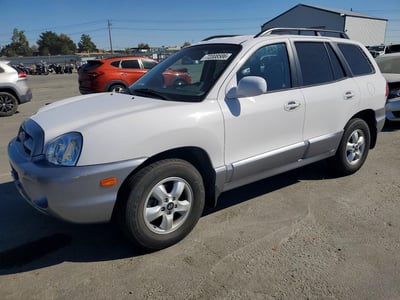2006 Hyundai Santa Fe