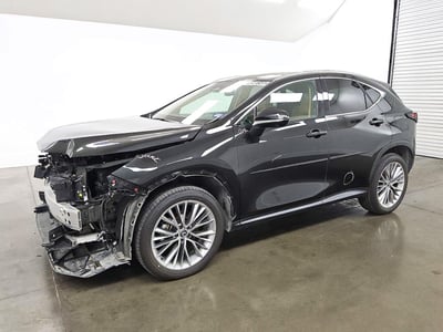 2025 Lexus NX