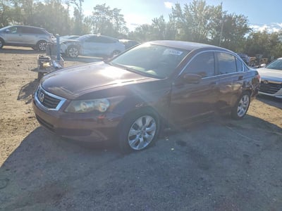 2010 Honda Accord