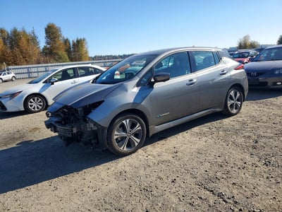 2019 Nissan Leaf